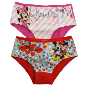 Minnie Mouse Briefs Girls Disney Minnie Mouse Underwear Brief 5 In A Pack  Age 2-8 Years - Online Character Shop
