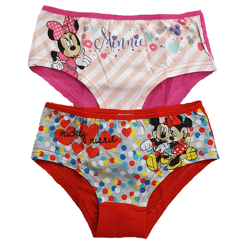 Minnie Mouse Briefs Girls Disney Minnie Mouse Shorties Underwear Brief 2 In  A Pack Age 2-8 Years